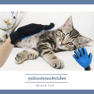 ภาพขนาดย่อของสินค้าBlack cat  ถุงมือรูดขนสัตว์ ถุงมือแปรงขนสัตว์