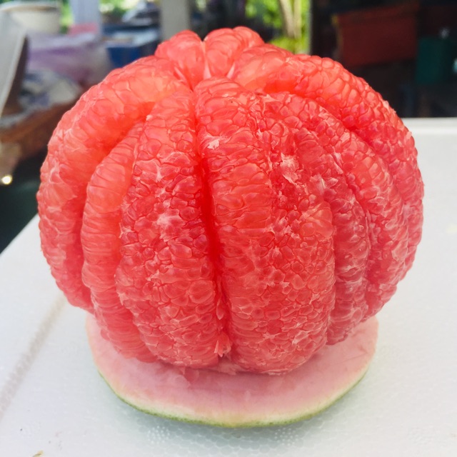 รูปภาพของ(pomelo fruit) ส้มโอทับทิมสยามจากลุมน้ำปากพนังไซร้1.5ก.กลองเช็คราคา
