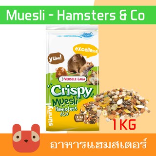 ภาพหน้าปกสินค้าPetaholic Crispy Muesli 1 kg อาหารแฮมเตอร์ Crispy Muesli Hamster & co Hamster food ที่เกี่ยวข้อง