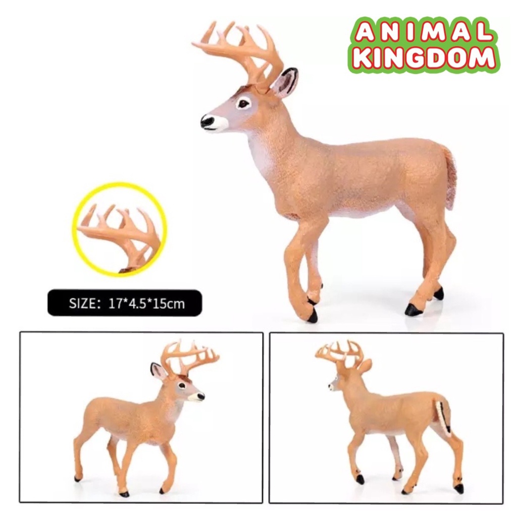 animal-kingdom-โมเดลสัตว์-กวาง-ทอง-ขนาด-16-00-cm-จากหาดใหญ่