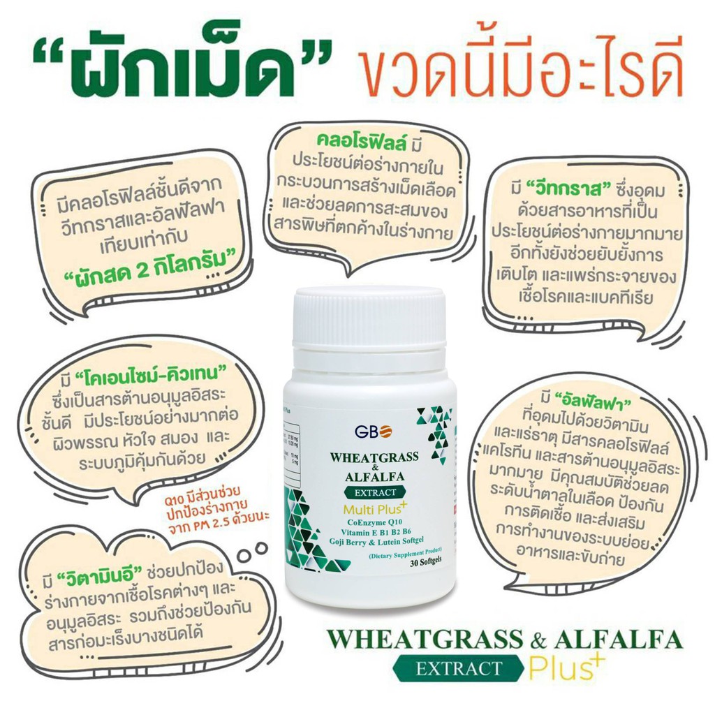 ภาพสินค้าผักเม็ด Wheatgrass & Alfalfa Extract Multi Plus+ Q10 (ฟรีค่าส่ง) จากร้าน ezasignz บน Shopee ภาพที่ 3