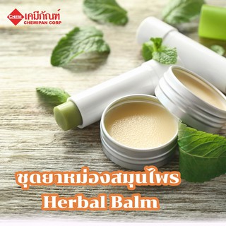 FOR-LV0205 ชุดยาหม่องสมุนไพร (Herbal Balm) ผลิตได้  250g.