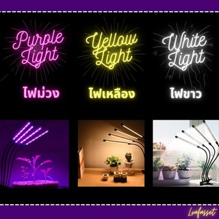 ภาพขนาดย่อของภาพหน้าปกสินค้าพร้อมส่ง ไฟปลูกต้นไม้ led grow light full spectrum หลอดไฟปลูกต้นไม้ โคมปลูกต้นไม จากร้าน ecorp.officialstore บน Shopee