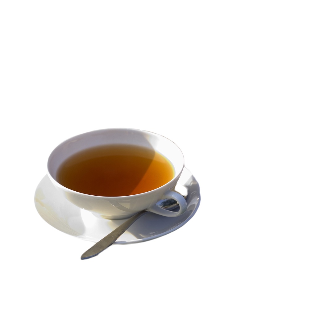 ชาเม็ดมะรุม-moringa-seed-tea
