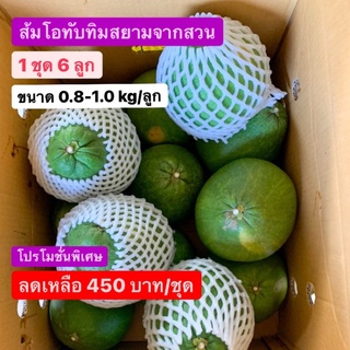 ภาพหน้าปกสินค้า[6 ลูก ขนาด 0.8-1.0kg/ลูก] ส้มโอทับทิมสยาม (ปากพนัง) สีแดงสด หวานฉ่ำๆ จากสวน จากแหล่งที่อร่อยที่สุดในประเทศ ที่เกี่ยวข้อง