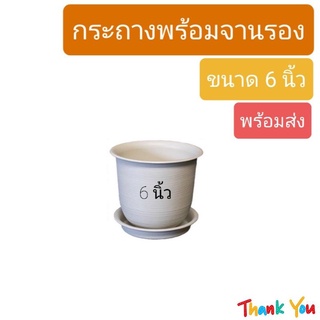 ภาพขนาดย่อของสินค้ากระถางต้นไม้ มินิมอล ขนาด 6นิ้ว พร้อมจานรอง