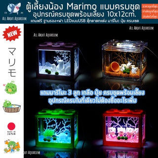 [สินค้าพร้อมส่ง🇹🇭] มาริโมะ Marimo Set ตู้เหลี่ยมมีไฟLED แถมฟรีอุปกรณ์ครบชุดพร้อมเลี้ยง ตกแต่งตู้ปลา สาหร่ายมาริโมะ มอส