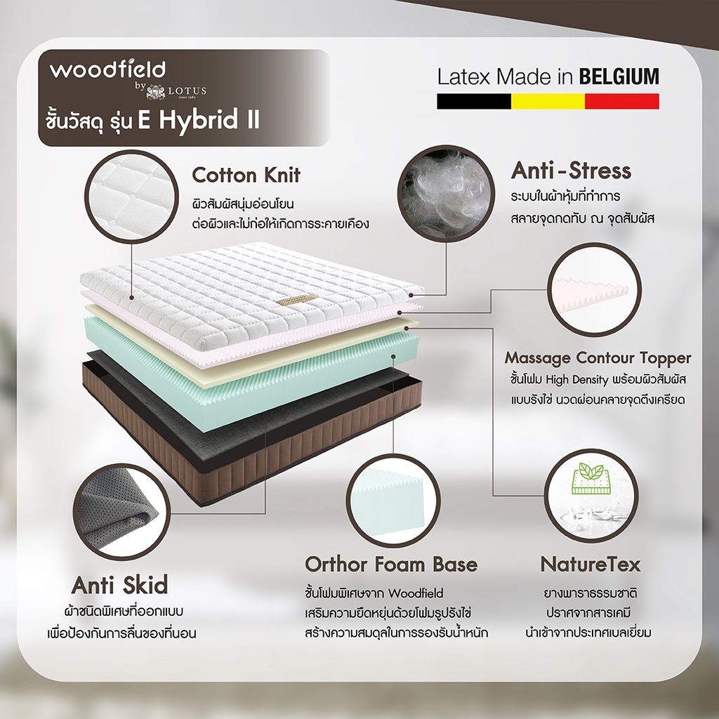 ข้อมูลเกี่ยวกับ Woodfield ที่นอนยางพารา นำเข้าจากประเทศเบลเยี่ยม รุ่น E-Hybrid / S-Hybrid สเปคนุ่มแน่น-นุ่มสบาย ส่งฟรี