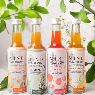 Mind Kombucha, มายด์ คอมบูชะ ชาหมักเพื่อสุขภาพ บำรุงร่างกาย มี 5 รสชาติ , 250 มล. มีอย.