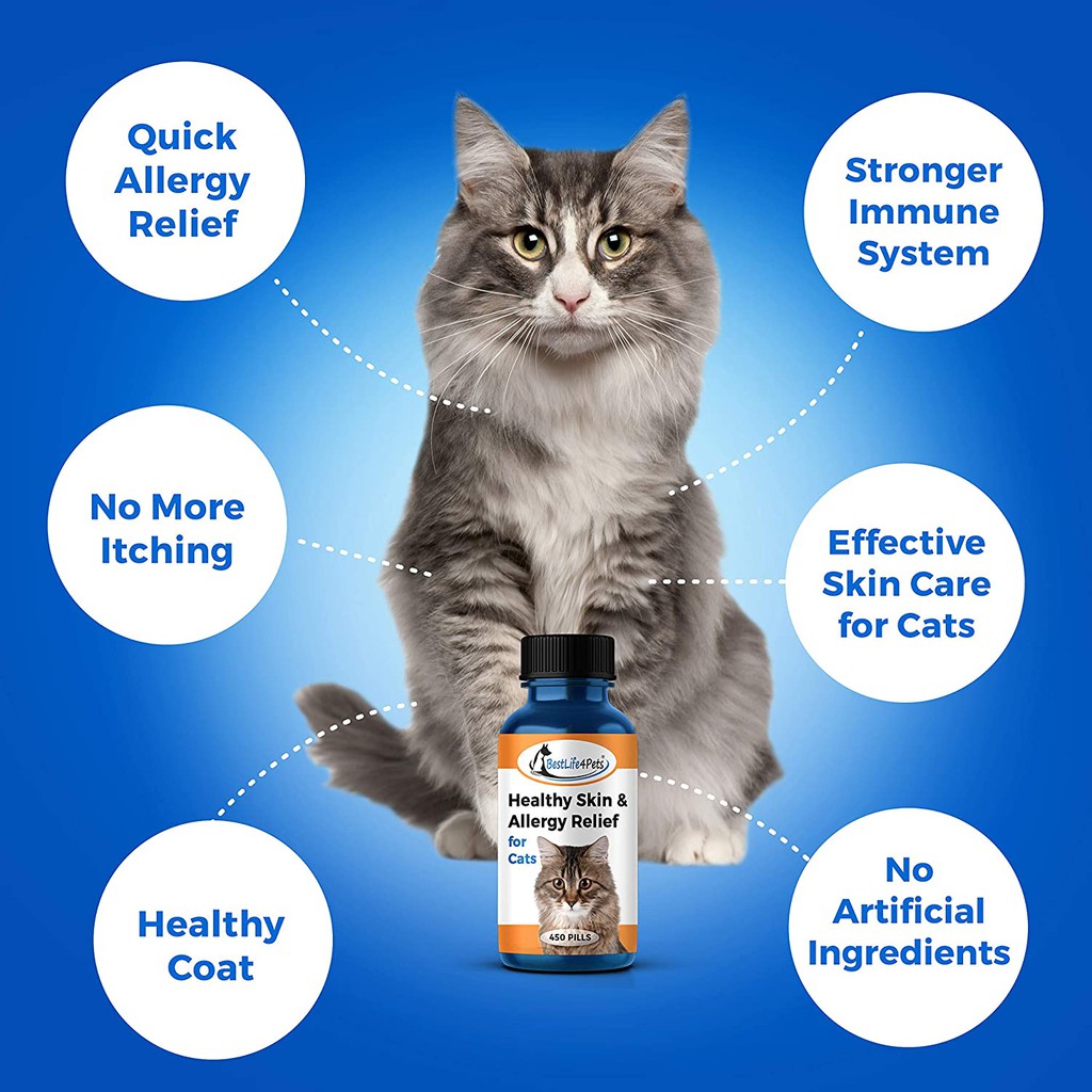 ภาพสินค้าCAT Skin & Allergy อาหารเสริมภูมิแมว บำรุงผิวหนังและขน สกัดจากธรรมชาติล้วน จากร้าน us_supply2017 บน Shopee ภาพที่ 1