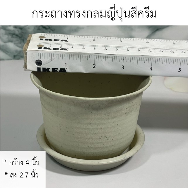 กระถางทรงกลมญี่ปุ่นขนาด-พร้อมจานรอง-พร้อมส่งทุกรูปแบบ-กระถางใส่-cactus