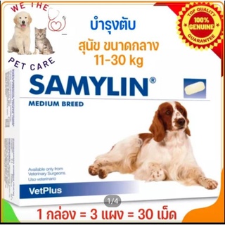 ภาพหน้าปกสินค้าSamylin Medium Breed, บำรุงตับ 1 กล่อง 30 เม็ด, Samylin ที่เกี่ยวข้อง