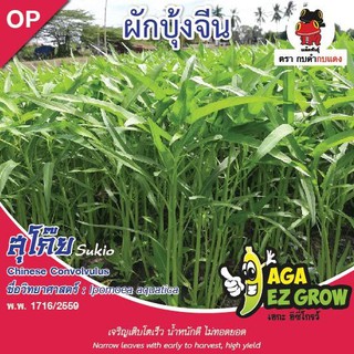 AGA SHOP เมล็ดพันธุ์ผักบุ้งใบไผ่ สุโก้ย