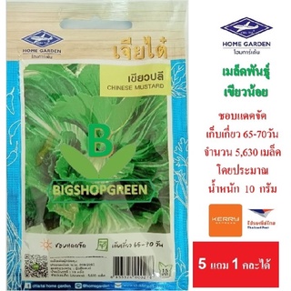 5 ฟรี 1 คละได้ เมล็ดผัก ผักกาด เขียวปลี เจียไต๋  เมล็ดผัก เมล็ดพันธุ์พืช เมล็ดพืช  เมล็ดพันธุ์ผัก เมล็ดผักสวนครัว