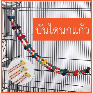 ภาพหน้าปกสินค้า[พร้อมส่ง ]บันไดนกแก้ว ของเล่นนกแก้ว นกแก้วขนาดเล็ก บันไดของเล่นหลากสี ซึ่งคุณอาจชอบสินค้านี้