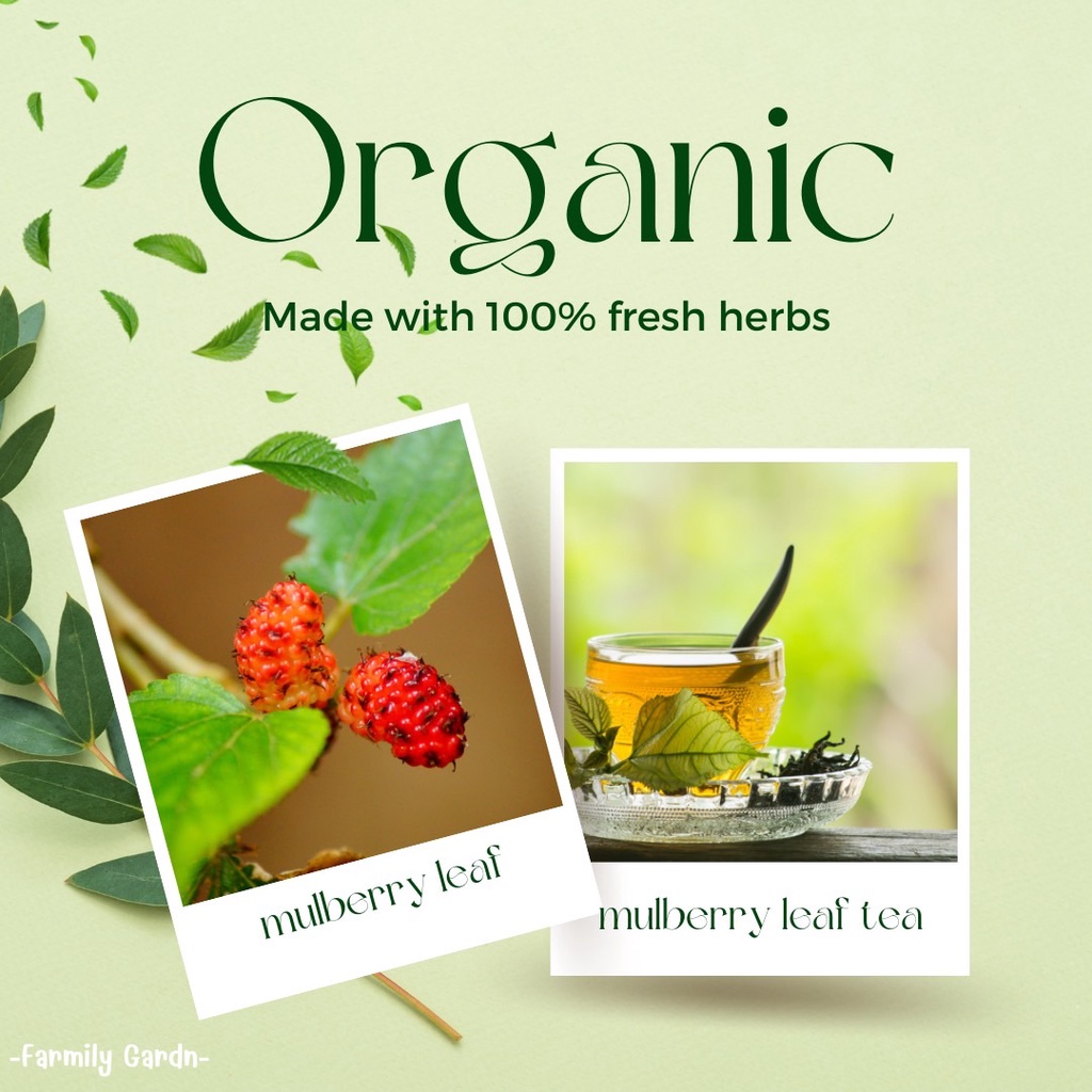 ชาใบหม่อน-organic-1-ถุงบรรจุ-10-ซอง-ชาประจำบ้าน-ช่วยลดไขมัน-ต้านอนุมูลอิสระ-กลิ่นหอม-รสชาติดี