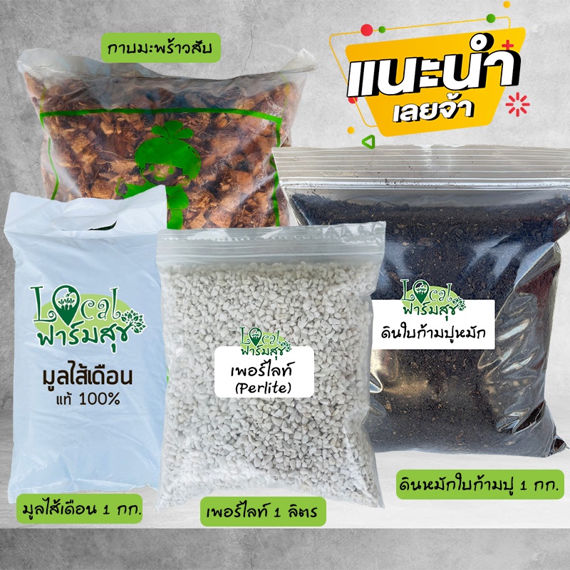 วัสดุปลูกไม้ด่าง-บอนด่าง-บอนสี-ดินปลูกไม้ด่าง-โตไว-ให้สีด่างสวย-โปร่ง-กักเก็บความชื้น-ระบายอากาศได้ดี-มีสารอาหารครบ