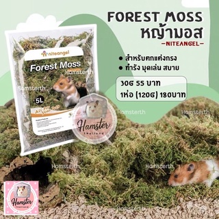 ภาพหน้าปกสินค้า[Hamsterthailand] หญ้า มอส แห้ง Forest Moss ยี่ห้อ Niteangel ตกแต่งกรง แฮมสเตอร์ กรงแฮมสเตอร์ เม่นแคระ แฟตเทล ที่เกี่ยวข้อง
