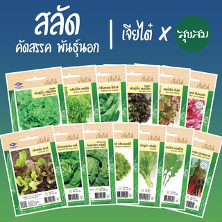 สินค้า เมล็ดผัก เมล็ดผักสลัด นำเข้า คัดสรรสายพันธุ์ 11 ชนิด กรีนโอ๊ค กรีนคอส เรดโอ๊ค เรดคอส  l เจียไต๋ เมล็ดพันธุ์ผัก ปลูกผัก