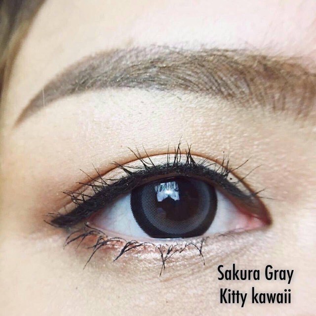 sakura-gray-1-kitty-kawaii-ซากุระ-สีเทา-เทา-เน้นขอบดำ-ตาโต-โทนแบ๊ว-ค่าอมน้ำสูง-contact-lens-bigeyes-คอนแทคเลนส์