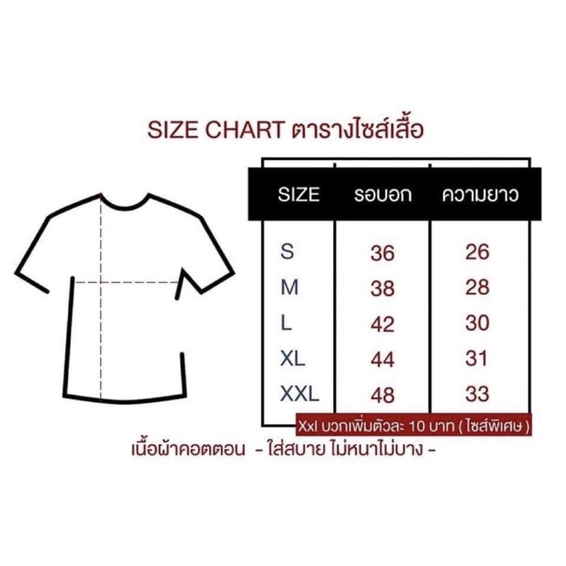 มีโปรโมชั่น-เสื้อยืดแฟชั่น-ลดราคาพิเศษ-จากปกติ290-บาท