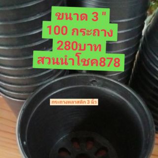 กระถาง 3  นิ้ว 100 กระถาง 280 บาท