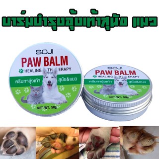 สินค้า SOJI PAW BALM บาร์มบำรุงอุ้งเท้าสุนัขแมว ทาจมูก ทาเท้า ออแกนิค ปลอดภัยไร้สารพิษ