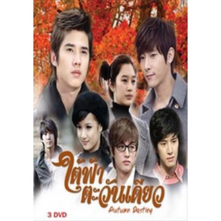 ใต้ฟ้าตะวันเดียว แผ่น dvd ดีวีดี