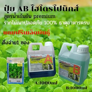 ธาตุอาหารพืช ปุ๋ยไฮโดรโปนิกส์ ปุ๋ยAB ปุ๋ยน้ำ สำหรับปลูกผัก Hydroponics ขนาด1000ML (แถมฟรี เมล็ดพันธ์คิ่งฉ่าย 1 ซอง)