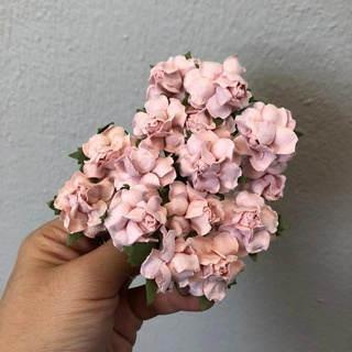 ดอกไม้กระดาษสาดอกไม้กุหลาบขนาดเล็กสีชมพูอ่อน 14 ชิ้น ดอกไม้ประดิษฐ์สำหรับงานฝีมือและตกแต่ง พร้อมส่ง F228