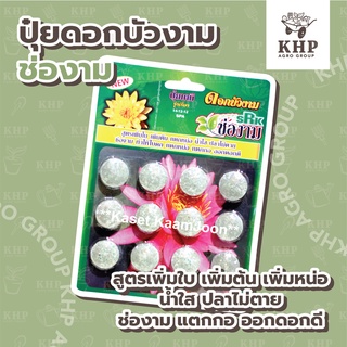 สินค้า ปุ๋ยบัว ปุ๋ยบอน ไม้น้ำ ไม้ใบ สูตรเร่งต้น เร่งแตกหน่อ แตกกอและราก เร่งใบ ต้นสมบูรณ์ แข็งแรง (100% organic) มีราคาส่ง*