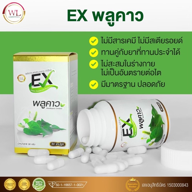 โปร-1-แถม-1-ยาสีฟัน-ex-พลูคาว-คาวตอง-สมุนไพรพลูคาว-wonderfullife-ex-houttuynia-cordata