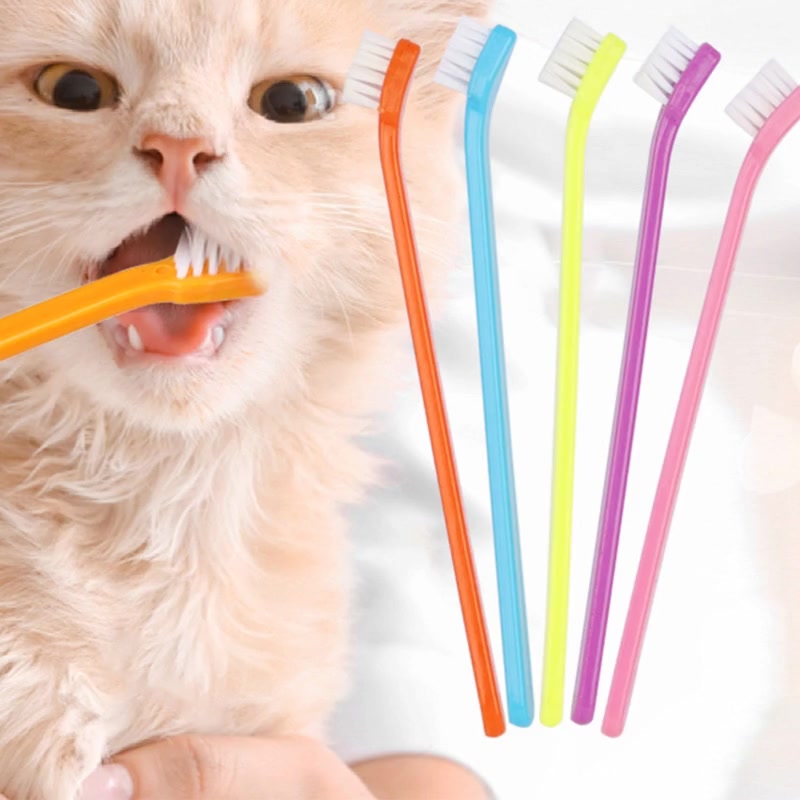 aotoo-แปรงสีฟัน-ทําความสะอาดฟัน-สําหรับสัตว์เลี้ยง-ลูกสุนัข-แมว