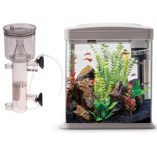 Protein Skimmer Waste Collector Filter Wood Air Stone 2 Aquarium Fish Tank