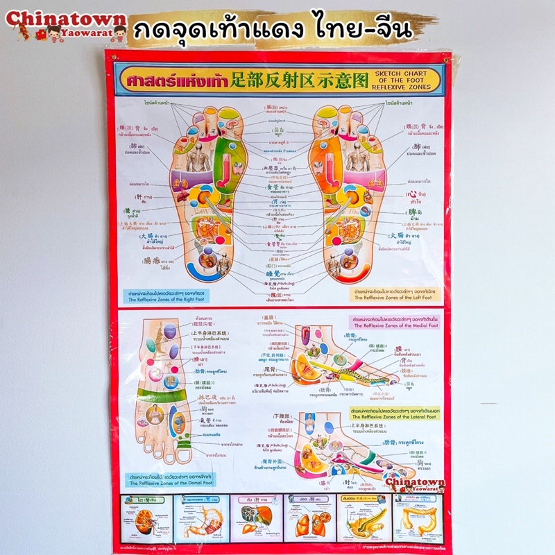 โปสเตอร์-กดจุดเท้าแดง-poster-นวด-นวดแผนไทย-กดจุดเท้า-ฤษีดัดตน-กดจุดรักษาโรค-การนวดกดจุด-ลมปราณ-นวดแผนโบราณ-นวดแผนไทย