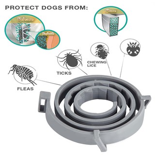ภาพขนาดย่อสินค้าปลอกคอกันเห็บหมัด ปอกคอกันเห็บหมา ทนนาน8เดือน สำหรับสุนัข แมว ปลอกคอกำจัดเห็บ หมัด สุนัข ปลอกคอกันเห็บหมัดและแมลง