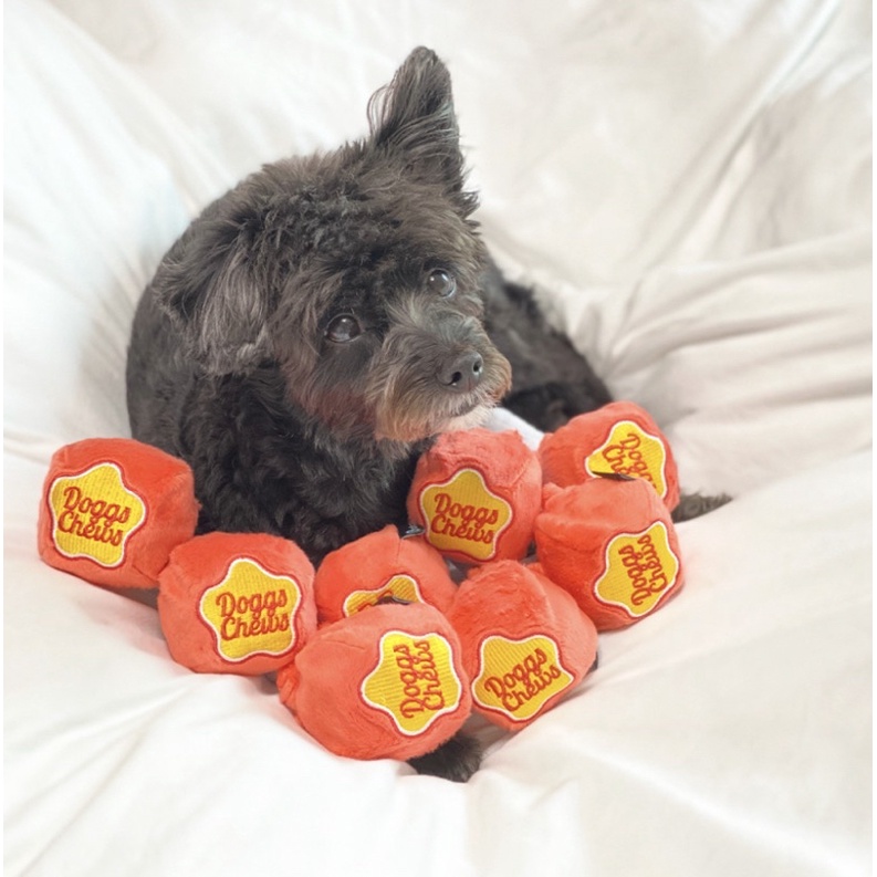 dingdog-dogchews-toy-ของเล่นฝึกทักษะสุนัข-นำเข้าจากเกาหลี