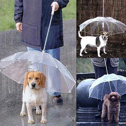 ร่มกันฝน-สำหรับน้องหมา-pet-umbrella