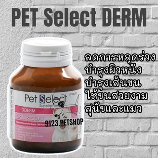 Petselect​ skin &amp;​ coat Oderm  สุนัขและแมว วิตามินช่วยบำรุงขน 30เม็ด PET SELECT