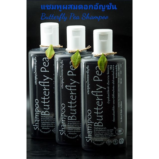 แชมพูผสมดอกอัญชัน-butterfly-pea-shampoo