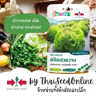 ภาพขนาดย่อของภาพหน้าปกสินค้าGGEW ผักกาดหอม สลัดสวยงาม 40เมล็ด ตราศรแดง เมล็ดพันธุ์พระราชทาน จันกะผัก Lettuce จากร้าน thaiseedonline บน Shopee