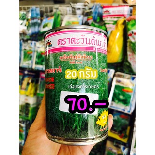 ชีลาวกระป๋อง 20 กรัม 70.- 🍃🍀🪴 พร้อมปลูก