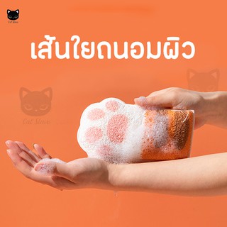 ภาพขนาดย่อของภาพหน้าปกสินค้าฟองน้ำ ฟองน้ำมือแมว ใยอาบน้ำ ฟองน้ำมหัศจรรย์ ฟองน้ำนาโน ฟองน้ำขัดระเบิดขี้ไคล จากร้าน jumpingcat บน Shopee ภาพที่ 4