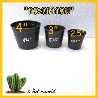 สินค้า กระถาง กลมธรรมดา // กระถาง กลม ขนาด 2.5 นิ้ว 3 นิ้ว 4 นิ้ว  กระถางพลาสติก กระถางแคคตัส กระบองเพชร