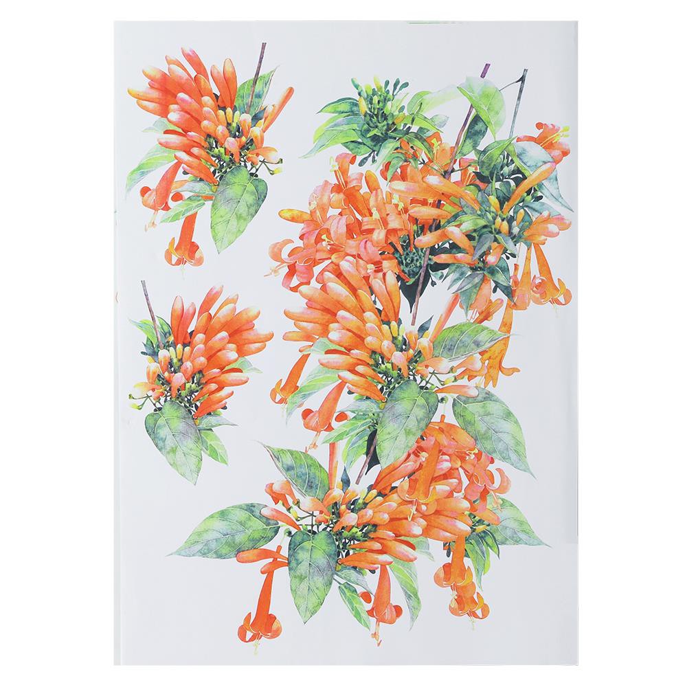 สติ๊กเกอร์-สติ๊กเกอร์ลอกน้ำ-diy-home-living-style-orange-flower-34x47-ซม-วอลเปเปอร์-สติ๊กเกอร์-เฟอร์นิเจอร์-ของแต่งบ้าน