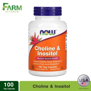 Now Foods, Choline &amp; Inositol 500 mg, 100 Capsules