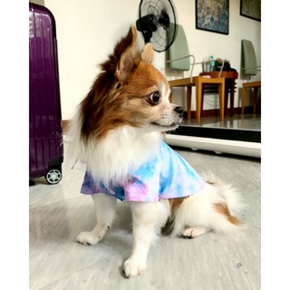 🌈เสื้อสุนัข🌈 เสื้อมัดย้อม🌈ผ้ามัดย้อม🐶Size 1-6