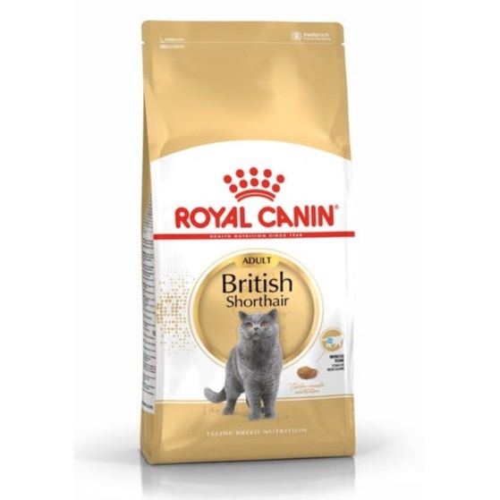 royal-canin-adult-british-shorthair-10-kg-โรยัล-แมวโต-บริติช-ชอร์ทแฮร์-ขนาด-10-กิโลกรัม-56464