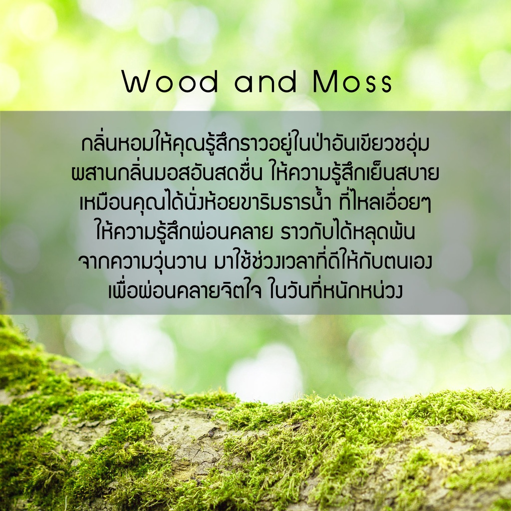 เทียนหอม-กลิ่น-wood-amp-moss-50g-1-76-oz-จุดได้นาน-8-10-hours