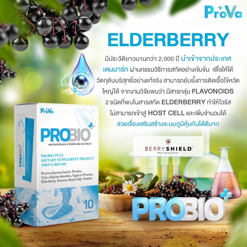 PROVA PROBIO+ โปรไบโอติก Probiotic โพรไบโอติกผสมนมผึ้ง ปรับสมดุลลำไส้  ท้องผูก ท้องเสีย เพิ่มภูมิคุ้มกัน | Shopee Thailand